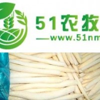 種子批發(fā)、 國(guó)產(chǎn)蘆筍種子 蘆筍種苗