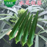 日本細長水果秋葵種子