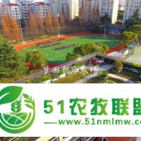 四川成都學校屋頂農(nóng)場設計施工公司尚鼎豐夢田都市農(nóng)場*用心