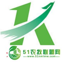 杜魯克 越夏西紅柿 耐高溫粉果番茄 早秋延西紅柿