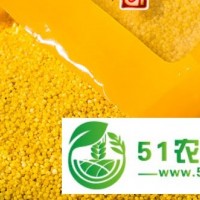 內(nèi)蒙小米價(jià)格|||內(nèi)蒙小米批發(fā)|||內(nèi)蒙小米批發(fā)價(jià)格|||內(nèi)蒙紅谷子小米批發(fā)