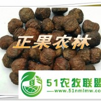 *供應(yīng)新產(chǎn)**油桐種子