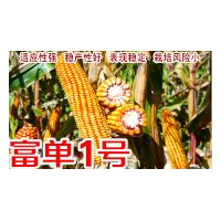 齊齊哈爾種子化肥價(jià)格，選