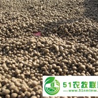 有供應(yīng)山藥豆的請(qǐng)找昌樂縣金誠(chéng)合作社