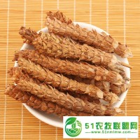 夏枯草種子多少錢斤