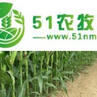 農(nóng)作物、果樹、綠化樹的種植與銷售