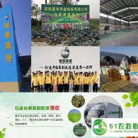 西安蔬菜水果批發(fā)配送