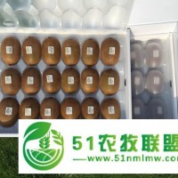 周至獼猴桃,西安哪家獼猴桃較好吃,三清生態(tài)農(nóng)業(yè)