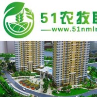 常州柴油機模型哪家正規(guī)，受到客戶信任