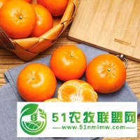 廣西逸品猴武鳴沃柑原產(chǎn)地甘甜多汁不上火無渣