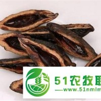 湘豐源檳榔是創(chuàng)業(yè) 的不錯(cuò)選擇 環(huán)保綠色