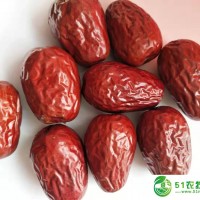 新疆和田大棗電商廠家代發(fā) 哪家的好