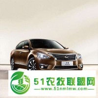 長(zhǎng)沙網(wǎng)約車公司商業(yè)模式****