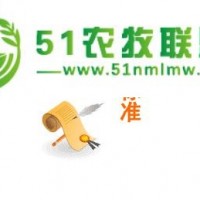 投標文件水果類的方案