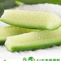 產(chǎn)地直發(fā)特價(jià)包郵 口感清甜，營(yíng)養(yǎng)又健康的水果黃瓜客齊聚水果生鮮