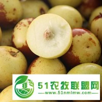 山東冬棗產(chǎn)地代辦