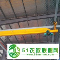 寶雞岐山縣歐式雙梁起重機，單雙梁起重機生產(chǎn)廠家