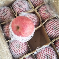 陜西冷庫紅富士洛川蘋果出庫價格