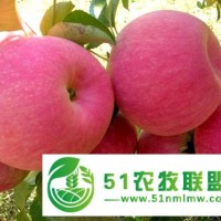 營養(yǎng)自然甜，蘋果要添鮮