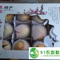 奉化水蜜桃自駕采摘 去 奉化王家桃園 歡迎您！