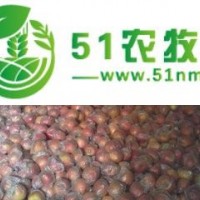 陜西紅富士蘋果價(jià)格陜西膜袋紅富士蘋果較新價(jià)格