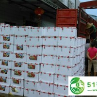 為電商代購荔枝 代收荔枝 代理收購荔枝