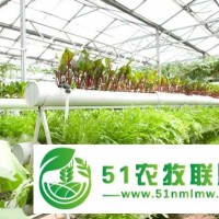 現(xiàn)代農(nóng)業(yè)地址