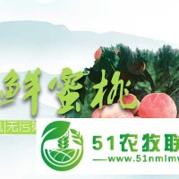 蕪湖冬桃,蕪湖冬桃廠商,蕪湖裕豐生態(tài)農(nóng)業(yè)