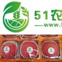 西安未央?yún)^(qū)蘋果，養(yǎng)生水果在哪買