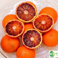 血橙價(jià)格一斤