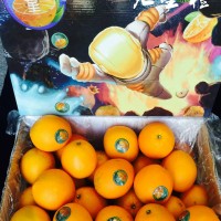 贛南臍橙 去火星或臍橙產(chǎn)地批發(fā) 橙子批發(fā)