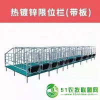 母豬定位欄限位欄小豬仔豬產(chǎn)保一體產(chǎn)床