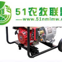 6寸電啟動小型水泵，抗旱*汽油水泵HS60X