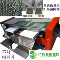 煙臺偉明FXJ新型三級藍(lán)莓選果機(jī)不傷果粉