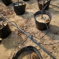 山東菏澤果樹(shù)滴灌材料生產(chǎn)廠家，滴灌管、滲灌帶、滲灌管