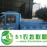 廬江區(qū)大江電動(dòng)三輪車經(jīng)銷商