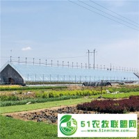 日光溫室建設(shè) 冬暖型日光溫室大棚安裝造價(jià)