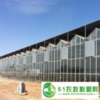 新型生態(tài)玻璃溫室定制溫室建設(shè)工程
