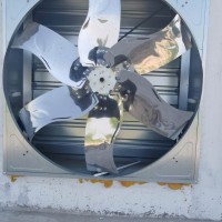 太康風(fēng)機(jī)廠家丨周口風(fēng)機(jī)丨養(yǎng)殖風(fēng)機(jī)丨銀星畜牧風(fēng)機(jī)行業(yè)成員之一