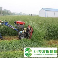 手推小型手扶收割機(jī) 艾草苜蓿養(yǎng)殖割草機(jī)