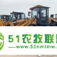 30/50抓木機 50側(cè)翻鏟車 柳工50裝載機中秋特價