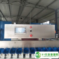 廠家**各種食品重量分級(jí)機(jī) 藥材分揀機(jī)