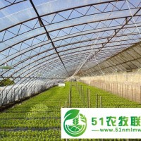 七洲智能溫室大棚造價(jià) 大連生產(chǎn)智能玻璃溫室大棚的企業(yè) pc板連棟溫室大棚