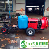 果園風(fēng)送噴霧機(jī)A梁山縣果園風(fēng)送噴霧機(jī)A果園風(fēng)送噴霧機(jī)視頻