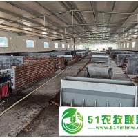 豬用自動(dòng)下料豬料槽可自動(dòng)加料加料機(jī)不銹鋼喂豬設(shè)備