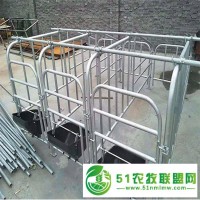 豬用自動料線 萊卓 養(yǎng)豬設(shè)備定位欄 產(chǎn)床定位欄 限位欄