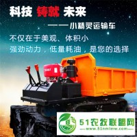 履帶運(yùn)輸車 四不像爬坡履帶車 山地搬運(yùn)車