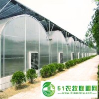 農(nóng)業(yè)大棚建設(shè)工程 聯(lián)動(dòng)大棚造價(jià) 連棟溫室工程 輝騰溫室