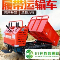 履帶式運(yùn)輸車 農(nóng)用爬山王全地形中小型自卸車工程果園爬山車