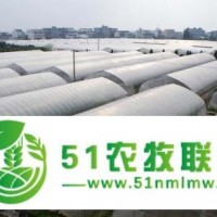 鑫藝農(nóng)養(yǎng)殖溫室